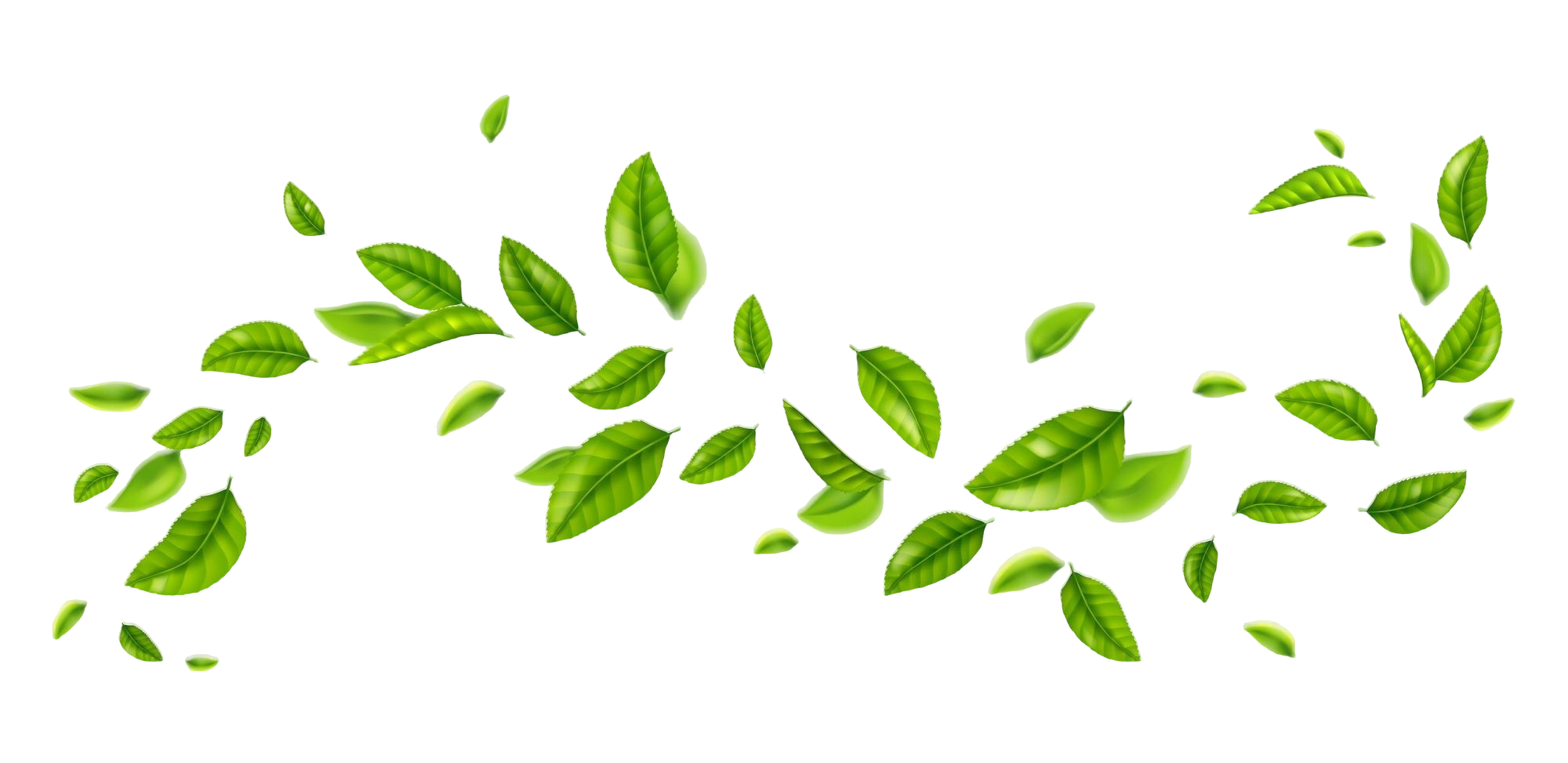 Decorative element